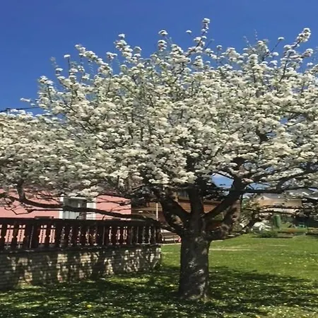 In Near Petzen Area *