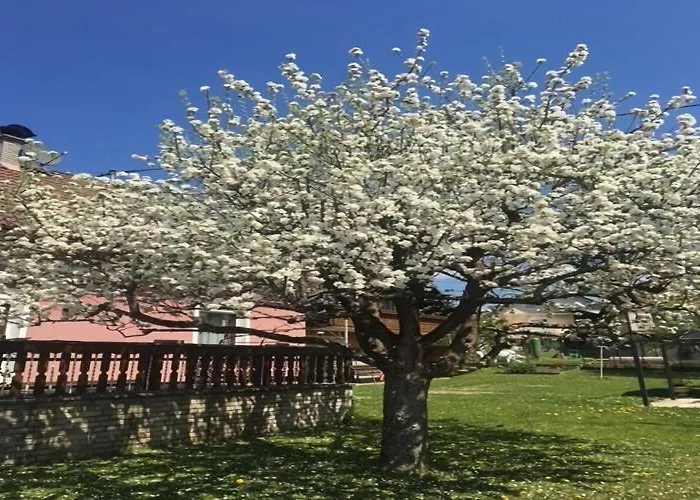 In Near Petzen Area *